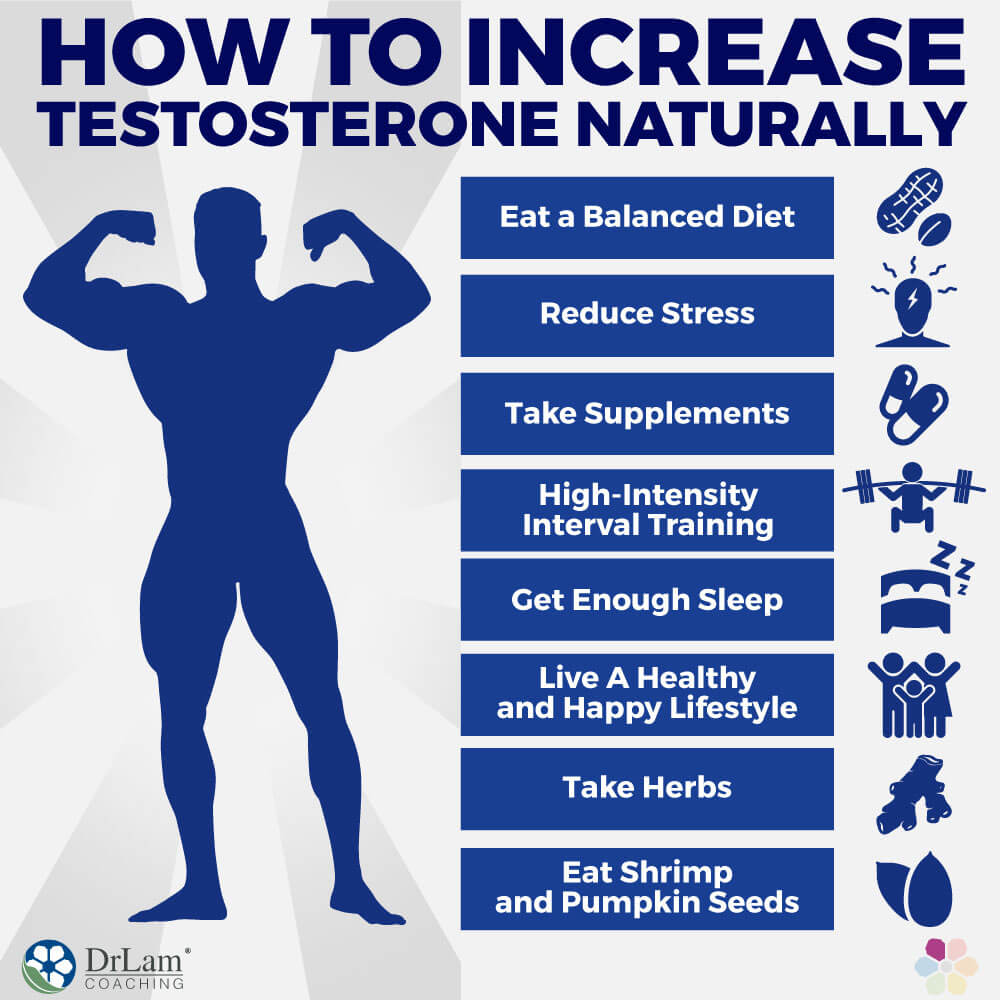 Read more about the article How to boost testosterone naturally – 2024 Updated – The Alpha Male